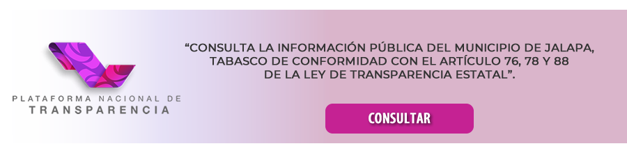 Acceso a la Plataforma Nacional de Transparencia